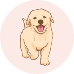 口コミ